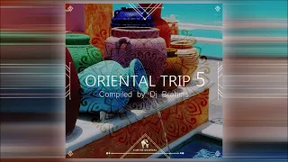 Cafe De Anatolia - Oriental Trip, Vol. 5 (Compiled by DJ Brahms)