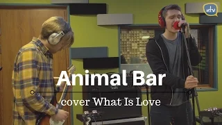 Stage4YOU na UW – Animal Bar – Haddaway– What is love (cover)