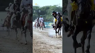 Line Neza Bazi || Team Of Four With Sword || Sultan International Neza Bazi Tournament #horses #fyp