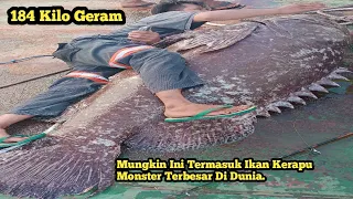 🔴#VIRAL||MANCING DI MUARA DAPAT IKAN KERAPU BERAT 184 Kilo.