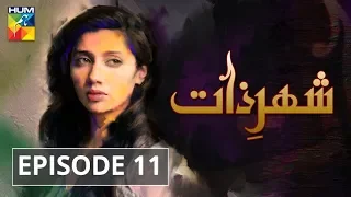 Shehr e Zaat Episode #11 HUM TV Drama