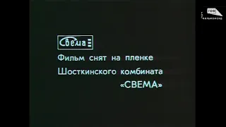 СЫН ПОЛКА 1981 год, СССР,  (реж. Георгий Кузнецов)