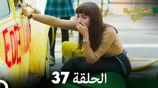 الحياة أحيانا حلوة الحلقة 37 - مدبلجة بالعربية (Arabic Dubbing)