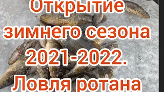 Открытие зимнего сезона 2021-22 . Ловля ротана . Первый лед 2021-2022 . Рыбалка 2021-2022 .