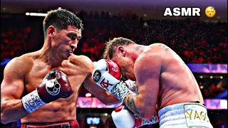 ASMR 😴 SOFT SPOKEN | CANELO VS BIVOL OUTCOME