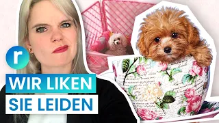 Teacup Puppies: Nur kranke Mode-Hunde? | reporter