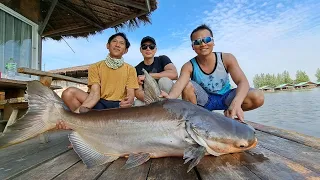 Mekong Catfish and Siamese Carp Fishing Thailand 2024- BKKGUY