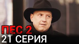 Сериал ПЕС - 21 серия - 2 сезон - Все серии подряд в 4К - Смотреть онлайн в хорошем качестве