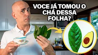 OS BENEFÍCIOS DO CHÁ DA FOLHA DE ABACATE | DR DAYAN SIEBRA #abacate #pedranosrins #remedionatural