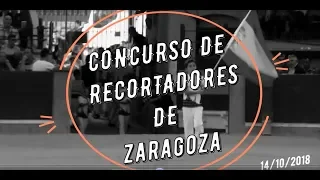 XXXVII CAMPEONATO NACIONAL DE RECORTADORES DE ZARAGOZA