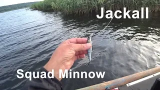 JACKALL Squad Minnow. Попытка разловить №2. И немного о подвохах.