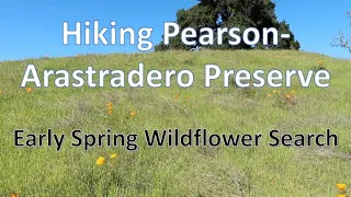 Hiking Arastradero Preserve in search of Wildflowers - Palo Alto, CA