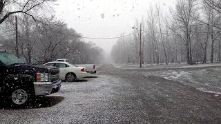 May 3rd Snow