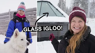 WE SLEPT IN A GLASS IGLOO (with Baby Huskies!!!)  Rovaniemi Finland