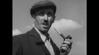 Boer Pietersen schoot in de roos (1948)