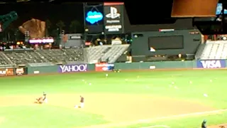 Seagulls on San Francisco baseball field after game