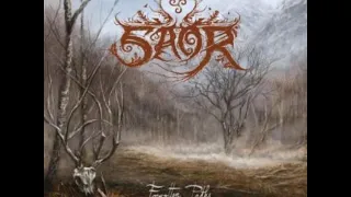 Saor - Forgotten Paths (Full Album)