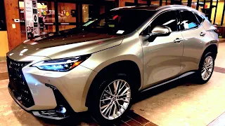 2023 Lexus NX350 Luxury Walkaround