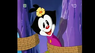 Wakko's Wish | Dot's cute scene (Polish)