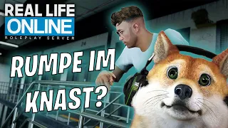 RUMPE WIEDER IM KNAST?! 🤔 - CSYON Stream Highlights