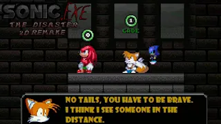I think I see something in the distance - Sonic.exe The Disaster 2D Remake Sally.exe WoS Reskin Mod