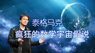 脑子烧掉了：意识之谜与数学宇宙