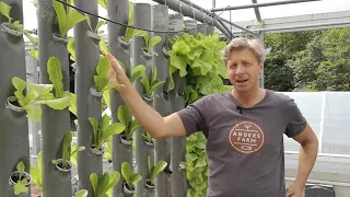 GrowTower in der Aquaponik - einfach zum selber bauen