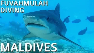 Fuvahmulah | Diving | Maldives