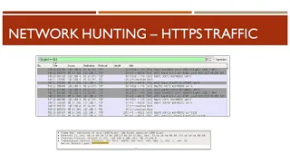 Network Traffic Hunting