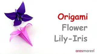 Origami Lily - Iris Flower (easy - single sheet)