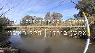 דייג - קרפיונים על מקל בוס בנהר הירדן | חלק ראשון 2024.