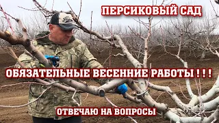 Обязательные весенние работы в персиковом саду !!!