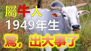 預測屬牛人2024生肖運勢，十二生肖屬牛人（在己醜年生的屬牛人，要注意跟家人的關係，此年屬牛人一生性格容易生氣上火，晚年不要把自己鬱悶的心情帶給家人，70歲以上的屬牛人，凡事不要鑽牛角尖，）阿南德