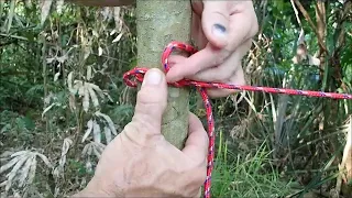 Clove Hitch Under Tension Amazing Knot Need To Know It