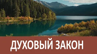 Грех кладет печать не только на душу, но и на внешность.