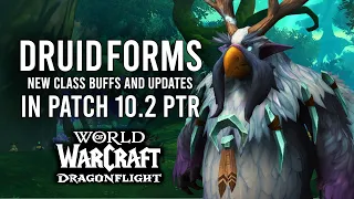 NEW BOOMKIN FORMS! New Class Buffs! Big Update For 10.2 Of Dragonflight PTR!
