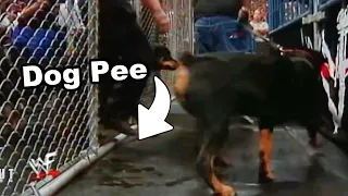 WWE Animal Bloopers