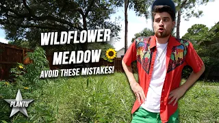 Mistakes To Avoid When Starting A Wildflower Meadow | Gardening Tips For Native Lawn Alternatives