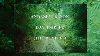 Andrzej Trefon - Day Tripper (The Beatles)