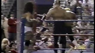 The Road Warriors vs Jimmy Garvin and Michael Hayes