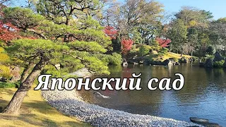 Этот японский сад просто потрясающий. Прогуляемся со мной? #blogprodom