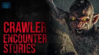 THEY COME OUT AT NIGHT - SCARY STORIES OF CRAWLER SIGHTINGS