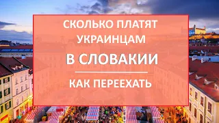 Сколько платят украинским беженцам в Словакии. Как переехать в страну. Убежище, работа и медицина