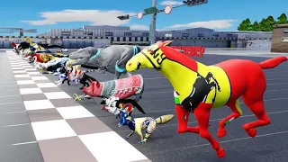 49 Incredible Animals Race Go Head-to-Head in the Animal Grand Prix !