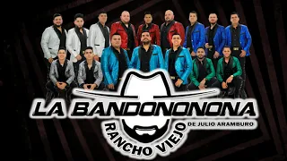 EL CORRIDO DEL MELE "LA BANDONONONA RANCHO VIEJO" DE JULIO ARAMBURO