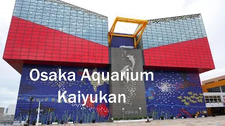 Osaka Aquarium Kaiyukan - incredible | Am i in the ocean?