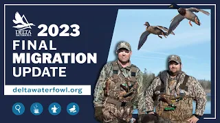 Final 2023 Migration Update | Delta Waterfowl