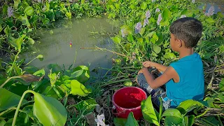 Fishing 🎣 Big koi fish are being caught in village canal with hook and fish bait ||Hook fishing