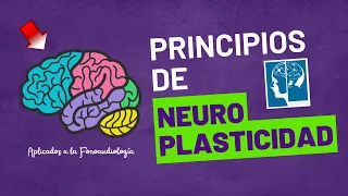 Principios De Neuro Plasticidad y Su Aplicación En La Fonoaudiología