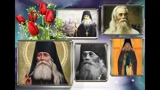 Жития Преподобного Варсонофия (Плиханкова),Оптинского старца